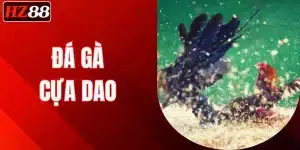 da-ga-cua-dao
